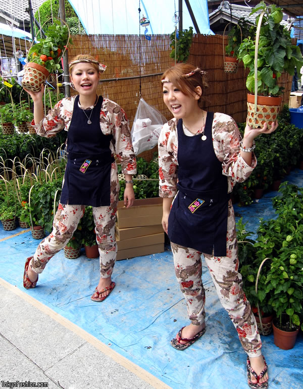 Japanese Temple Girls