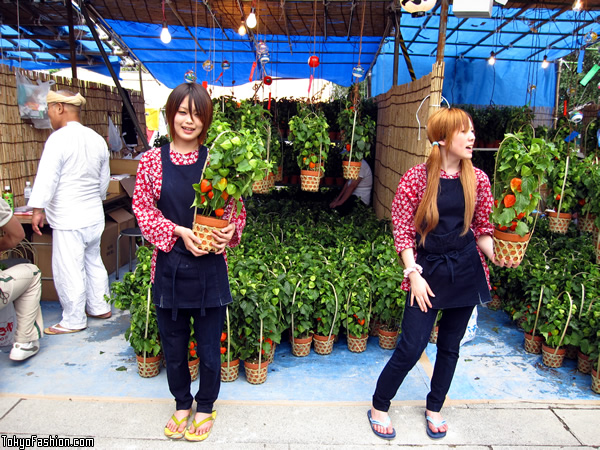 Japanese Girls in Asakusa