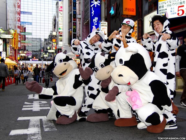 Japanese Gangsta Cows