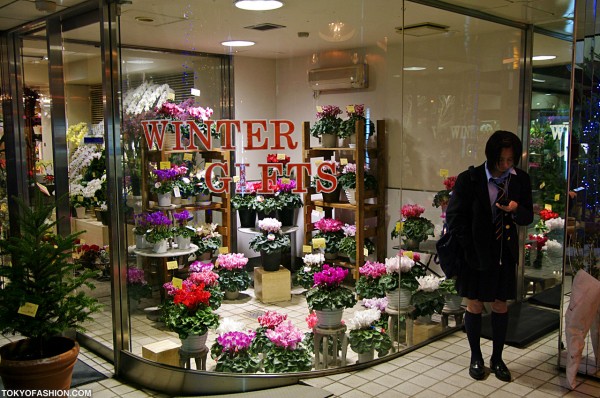 Flower Shop in Tokyo