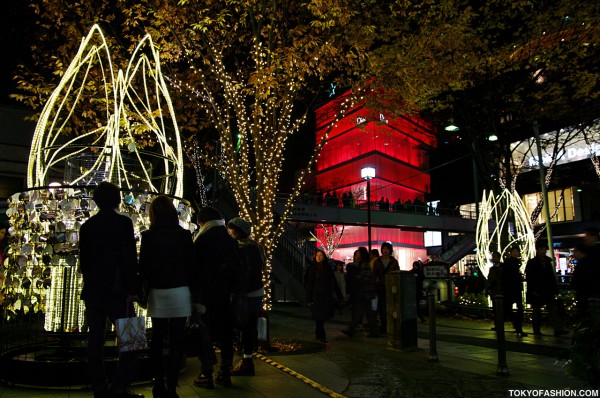 Omotesando Christmas Illumination