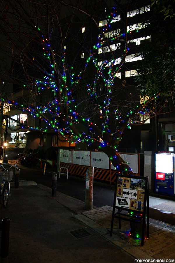 Cat Street Christmas Tree