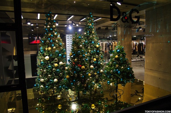 D&G Christmas Trees