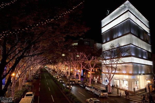 Omotesando Dori Christmas Lights