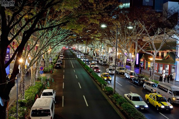 Omotesando Christmas Illumination