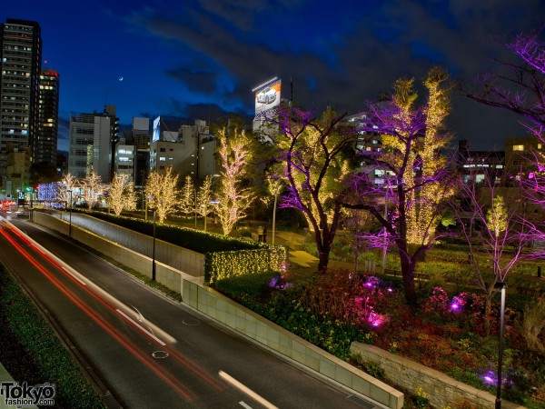 Roppongi Christmas Lights