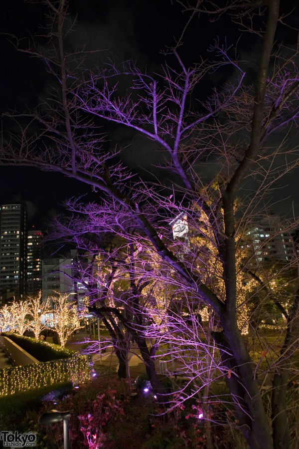 Roppongi Christmas Lights
