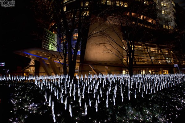 Roppongi Hills Christmas Lights