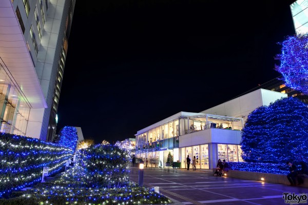 Shinjuku Southern Terrace Christmas Lights