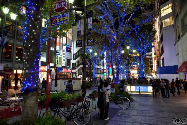 Shinjuku Christmas Lights