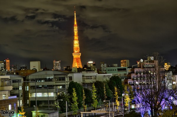 Tokyo Tower at Christmas