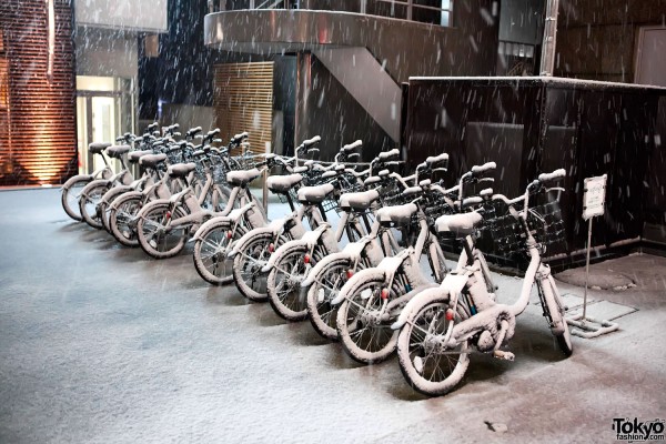 Bicycles in the Snow