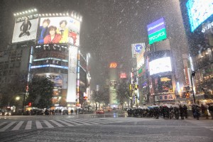 Snowy Day in Shibuya