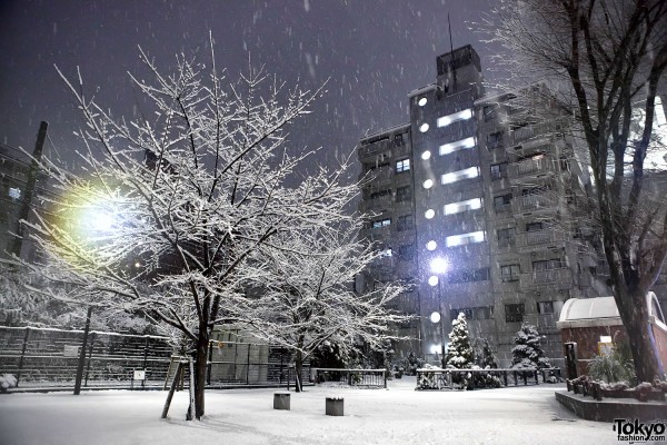 Snowing in Tokyo