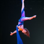 Cirque du Soleil ZED at TGC