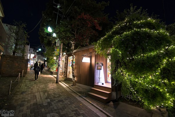 Harajuku Christmas Cat Street 2012 (78)