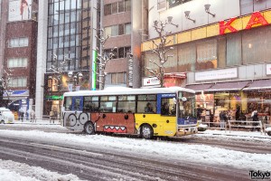 Coming of Age Day Japan 2013 Snow (95)