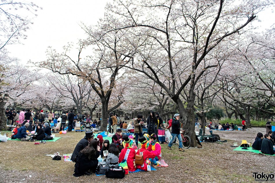 “Kawaii Hanami” with the Harajuku Fashion Walk Kids – Video & Pictures ...