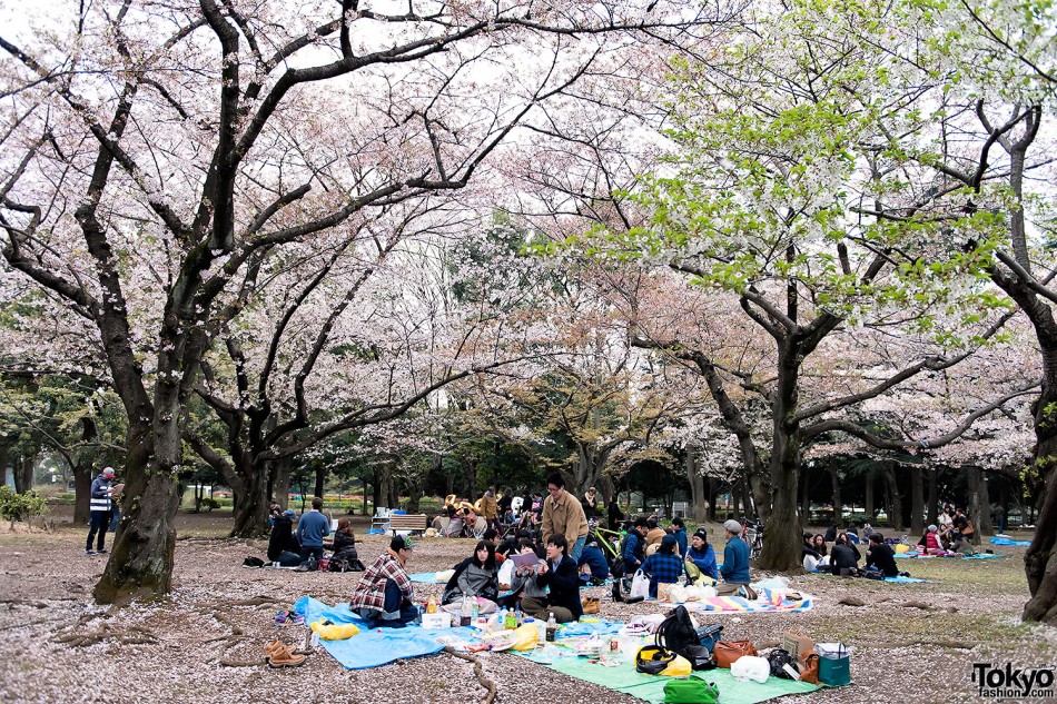 “Kawaii Hanami” with the Harajuku Fashion Walk Kids – Video & Pictures ...