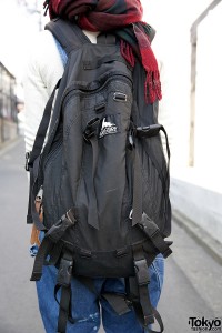 Gregory Backpack