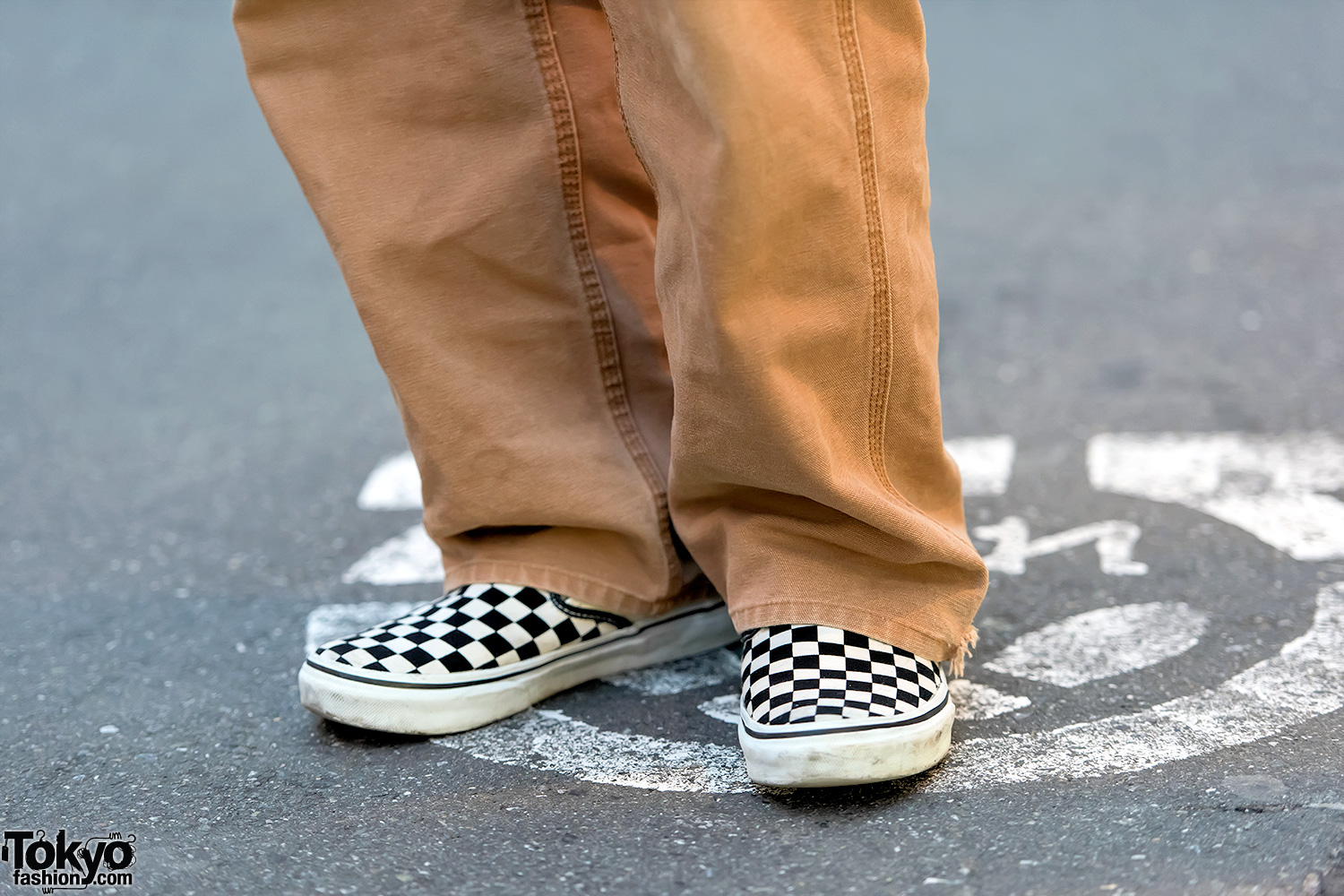 Harajuku Girl in Stussy, Carhartt & Checkerboard Vans Sneakers – Fashion